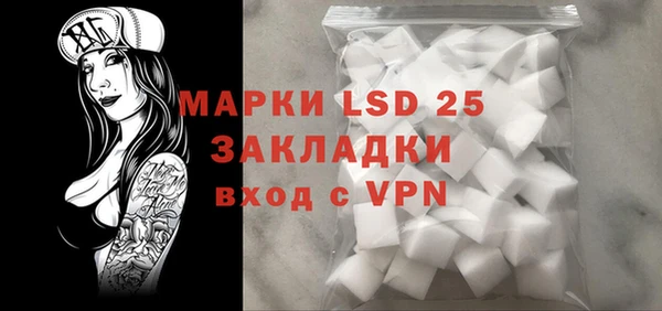 PSILOCYBIN Алзамай