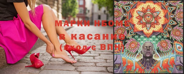 PSILOCYBIN Алзамай