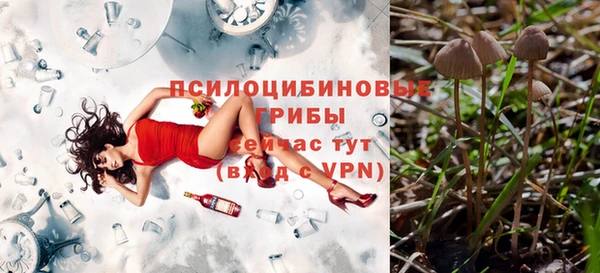 PSILOCYBIN Алзамай