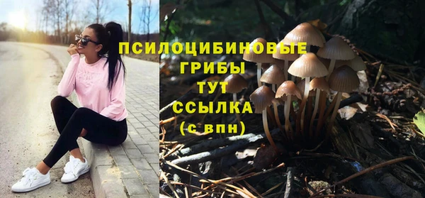 экстази Алексеевка