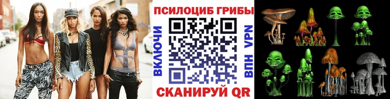 кракен маркетплейс  Куровское  Галлюциногенные грибы Psilocybe 