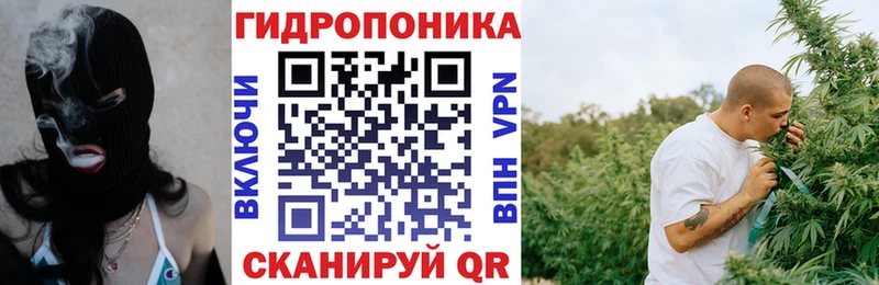Шишки марихуана Amnesia  MEGA   Куровское 